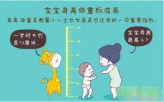 超声波草莓视频APP下载黄正确测量方法标准身高体