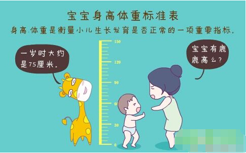 超声波草莓视频APP下载黄正确测量方法标准身高体重表