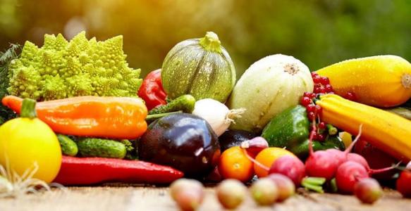 儿童智商测试仪通过饮食也能提高智商呦 儿童智商测试仪通过饮食也能提高智商呦