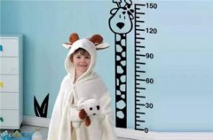 草莓视频APP下载黄厂家如何长高?这三个科学发展的黄金时代不容错过