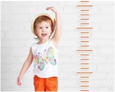 709黑龙江佳木斯-山东草莓视频旧版本下载地址揭示儿童身高体重秤的功能和参数